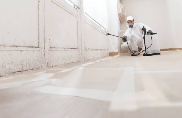 24/7 Emergency Mold Testing experts in Clinton, MI