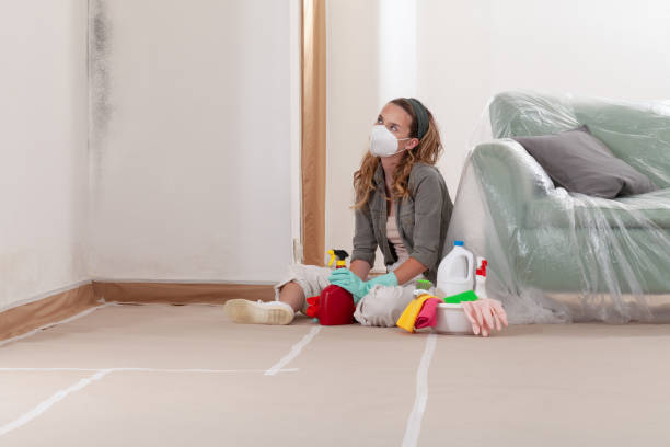 Reliable Mold Testing contractor in Clinton, MI by WQB Mold Removal
